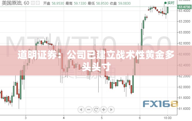 道明证券：公司已建立战术性黄金多头头寸